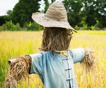 Study Preparation for the next training.